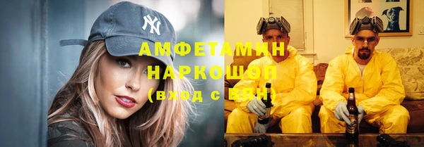крисы Алзамай