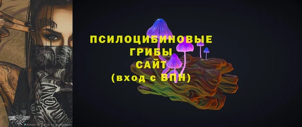 дмт Армянск